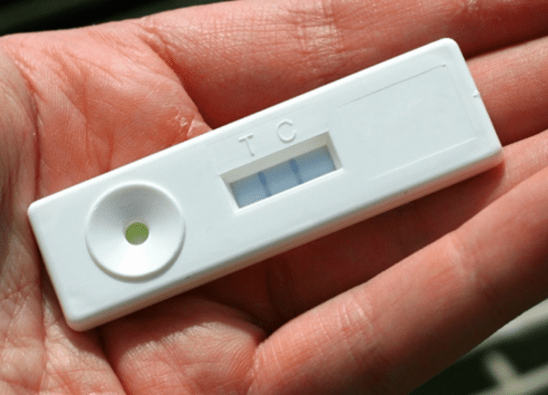 A positive Phytophthora lateral flow test in a persons hand