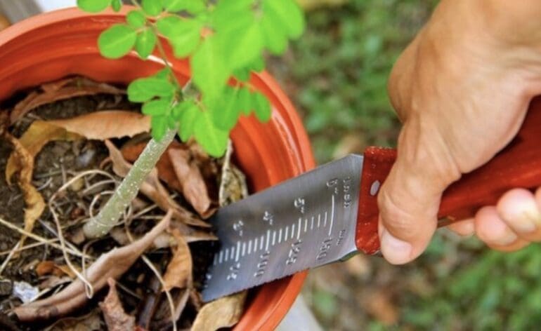 A Hori Hori knife cutting through the roots of a potted plant