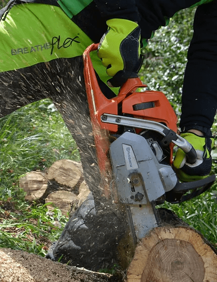 A picture of a log being cut by a chainsaw
